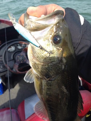 hideup 永野総一朗 ブログ写真 2015/03/23