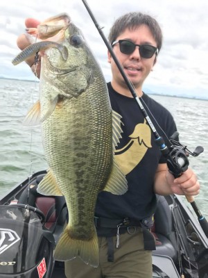 hideup 豌ｸ驥守ｷ丈ｸ譛� 繝悶Ο繧ｰ蜀咏悄 2017/08/05