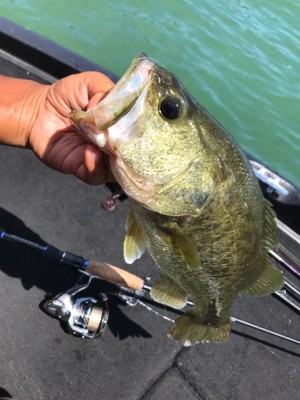 hideup 永野総一朗 ブログ写真 2017/08/14