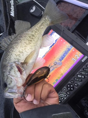 hideup 永野総一朗 ブログ写真 2016/11/15