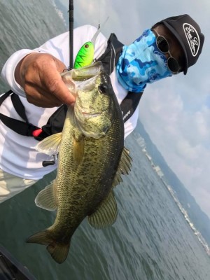 hideup 永野総一朗 ブログ写真 2017/06/01