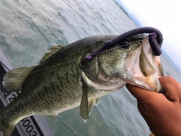 hideup 永野総一朗 ブログ写真 2017/07/17