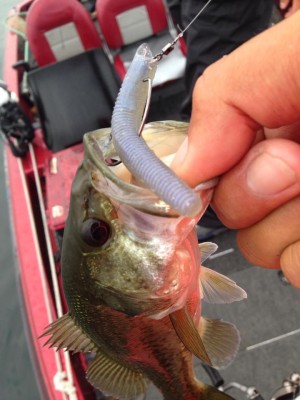 hideup 永野総一朗 ブログ写真 2015/06/16