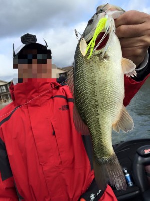 hideup 永野総一朗 ブログ写真 2016/04/11