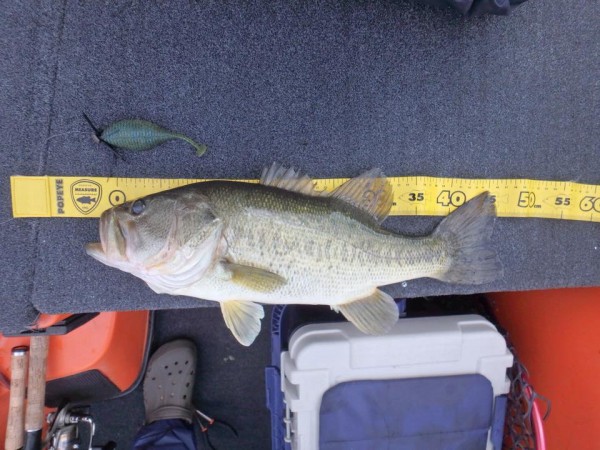 hideup 永野総一朗 ブログ写真 2017/07/02