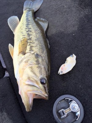 hideup 永野総一朗 ブログ写真 2016/04/16