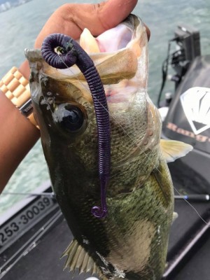 hideup 永野総一朗 ブログ写真 2017/07/17