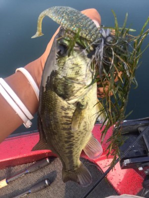 hideup 永野総一朗 ブログ写真 2015/08/04