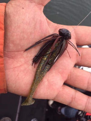 hideup 永野総一朗 ブログ写真 2017/10/14