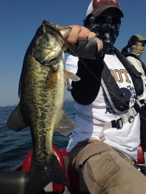 hideup 永野総一朗 ブログ写真 2015/05/02