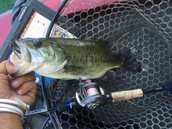 hideup 永野総一朗 ブログ写真 2015/08/24