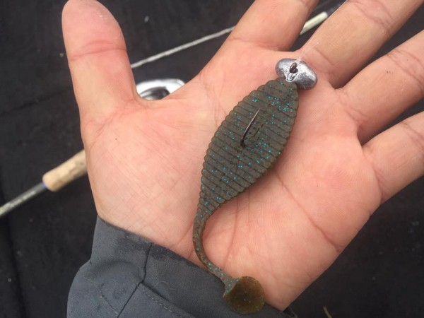 hideup 永野総一朗 ブログ写真 2017/02/17