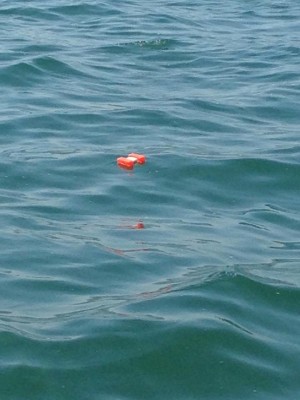 hideup 永野総一朗 ブログ写真 2015/04/26