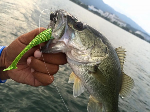 hideup 永野総一朗 ブログ写真 2016/08/13