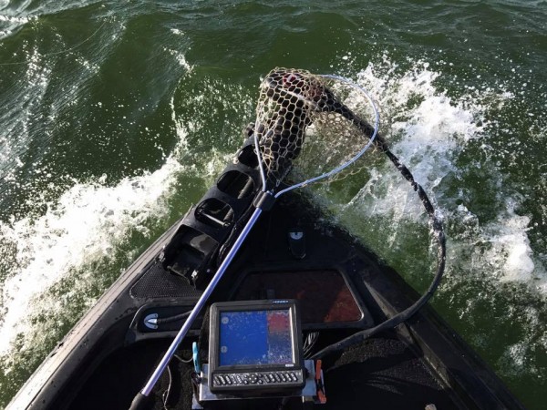 hideup 豌ｸ驥守ｷ丈ｸ譛� 繝悶Ο繧ｰ蜀咏悄 2017/09/02