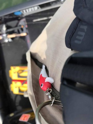 hideup 永野総一朗 ブログ写真 2017/06/03