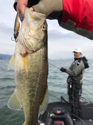 hideup 永野総一朗 ブログ写真 2017/11/20