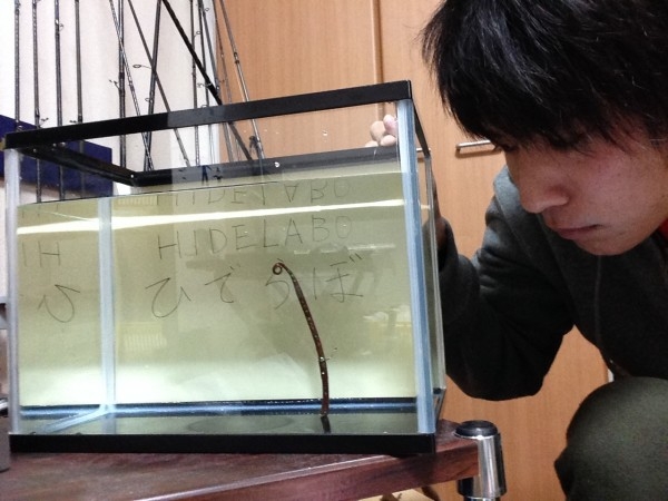 hideup 永野総一朗 ブログ写真 2014/02/15