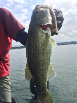 hideup 永野総一朗 ブログ写真 2016/10/03