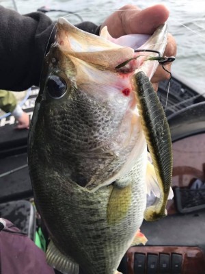 hideup 永野総一朗 ブログ写真 2017/06/12