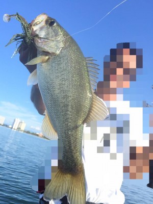 hideup 永野総一朗 ブログ写真 2016/10/18