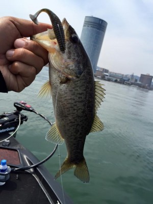 hideup 永野総一朗 ブログ写真 2016/04/01