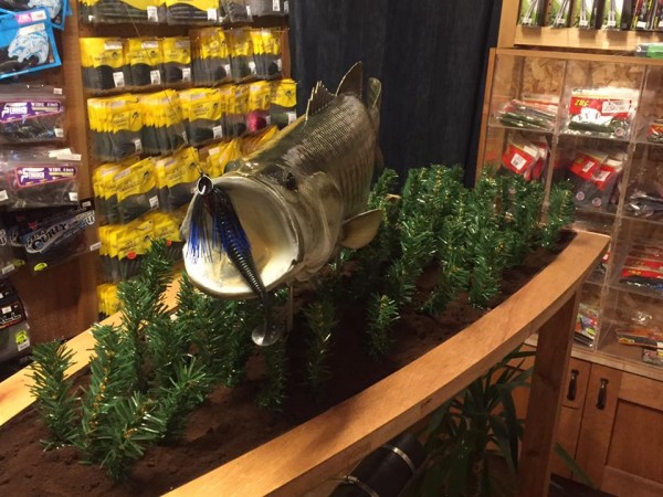 hideup 永野総一朗 ブログ写真 2017/03/09