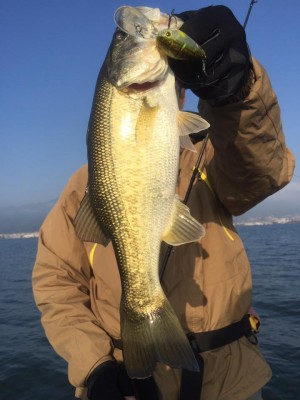 hideup 永野総一朗 ブログ写真 2016/11/05