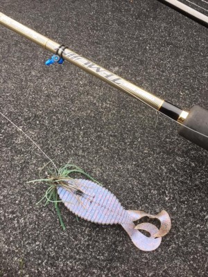 hideup 永野総一朗 ブログ写真 2017/06/25