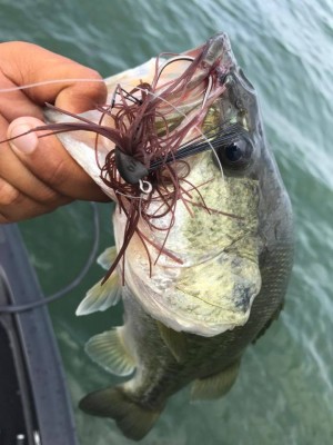 hideup 永野総一朗 ブログ写真 2017/08/02