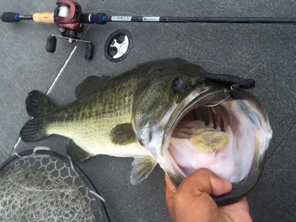 hideup 豌ｸ驥守ｷ丈ｸ譛� 繝悶Ο繧ｰ蜀咏悄 2015/09/08