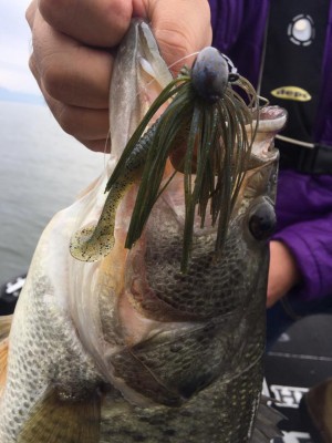 hideup 永野総一朗 ブログ写真 2017/04/20