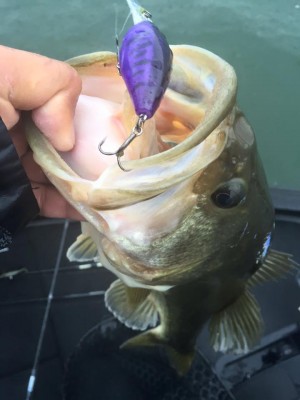 hideup 豌ｸ驥守ｷ丈ｸ譛� 繝悶Ο繧ｰ蜀咏悄 2016/04/07