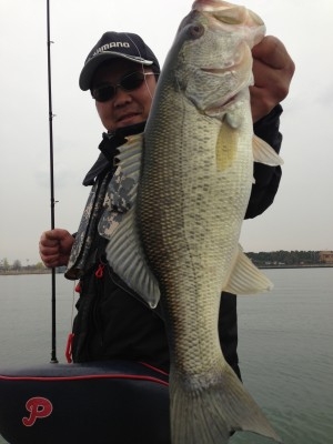 hideup 豌ｸ驥守ｷ丈ｸ譛� 繝悶Ο繧ｰ蜀咏悄 2013/04/02