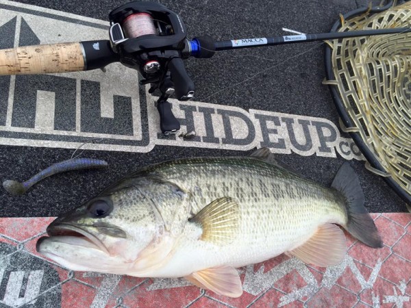 hideup 永野総一朗 ブログ写真 2015/12/12