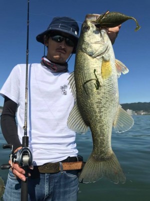 hideup 永野総一朗 ブログ写真 2017/06/18