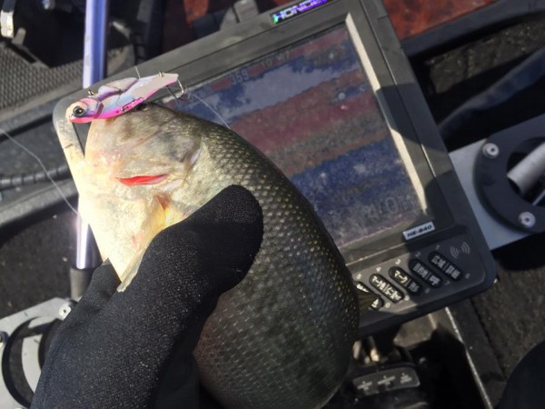 hideup 永野総一朗 ブログ写真 2017/01/14