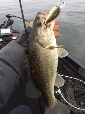 hideup 永野総一朗 ブログ写真 2016/11/21