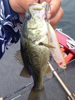 hideup 永野総一朗 ブログ写真 2015/06/02