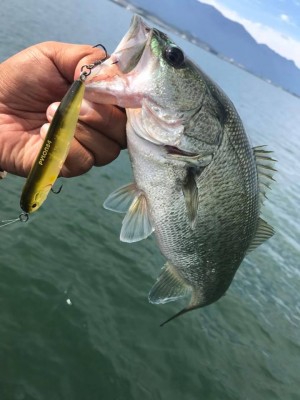 hideup 永野総一朗 ブログ写真 2017/09/04