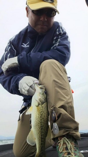 hideup 永野総一朗 ブログ写真 2016/05/03