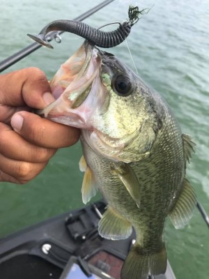 hideup 永野総一朗 ブログ写真 2017/08/06