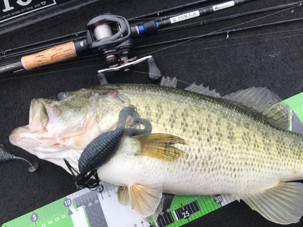 hideup 永野総一朗 ブログ写真 2017/06/25