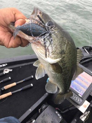 hideup 永野総一朗 ブログ写真 2017/07/12