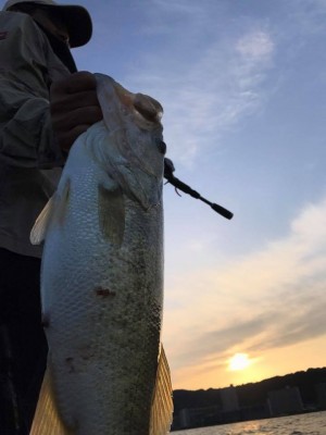 hideup 永野総一朗 ブログ写真 2017/06/03