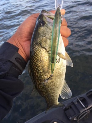 hideup 永野総一朗 ブログ写真 2016/10/06