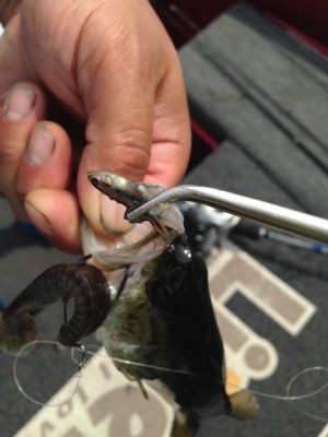 hideup 永野総一朗 ブログ写真 2015/06/15