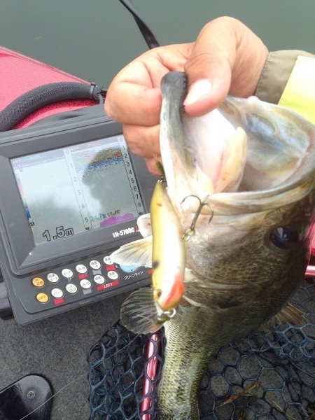 hideup 永野総一朗 ブログ写真 2014/06/18