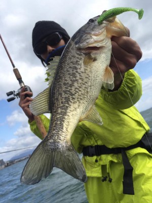 hideup 永野総一朗 ブログ写真 2017/03/16