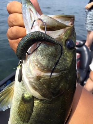 hideup 永野総一朗 ブログ写真 2016/07/24